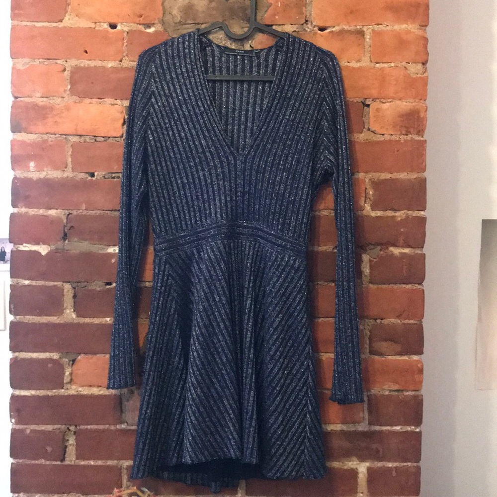 Zara skater dress